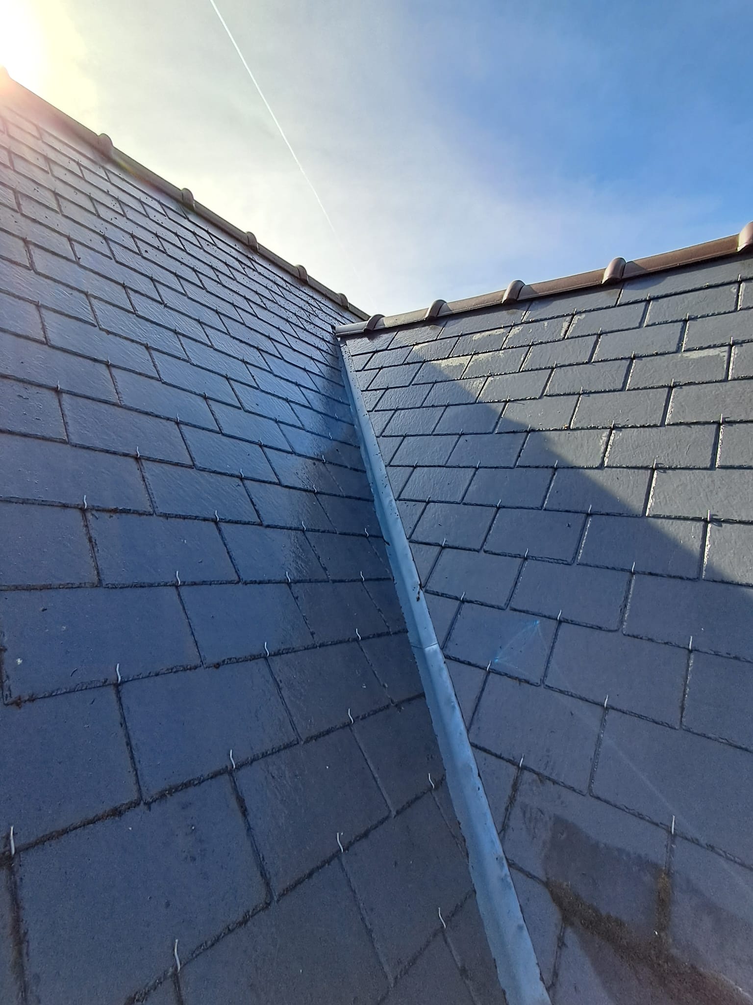 DEMOUSSAGE APRES INDRE ET LOIRE DANS LE 37 TOURS