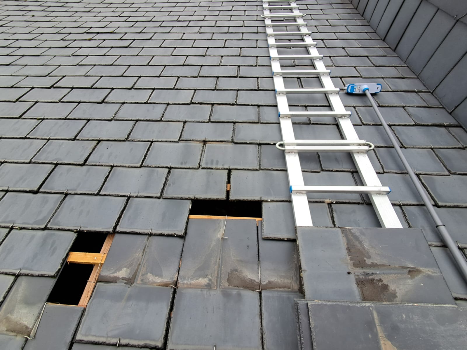 changement-de-tuile-tours-37-indre-et-loire